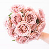 Koko Loko™ Potted Tree Rose