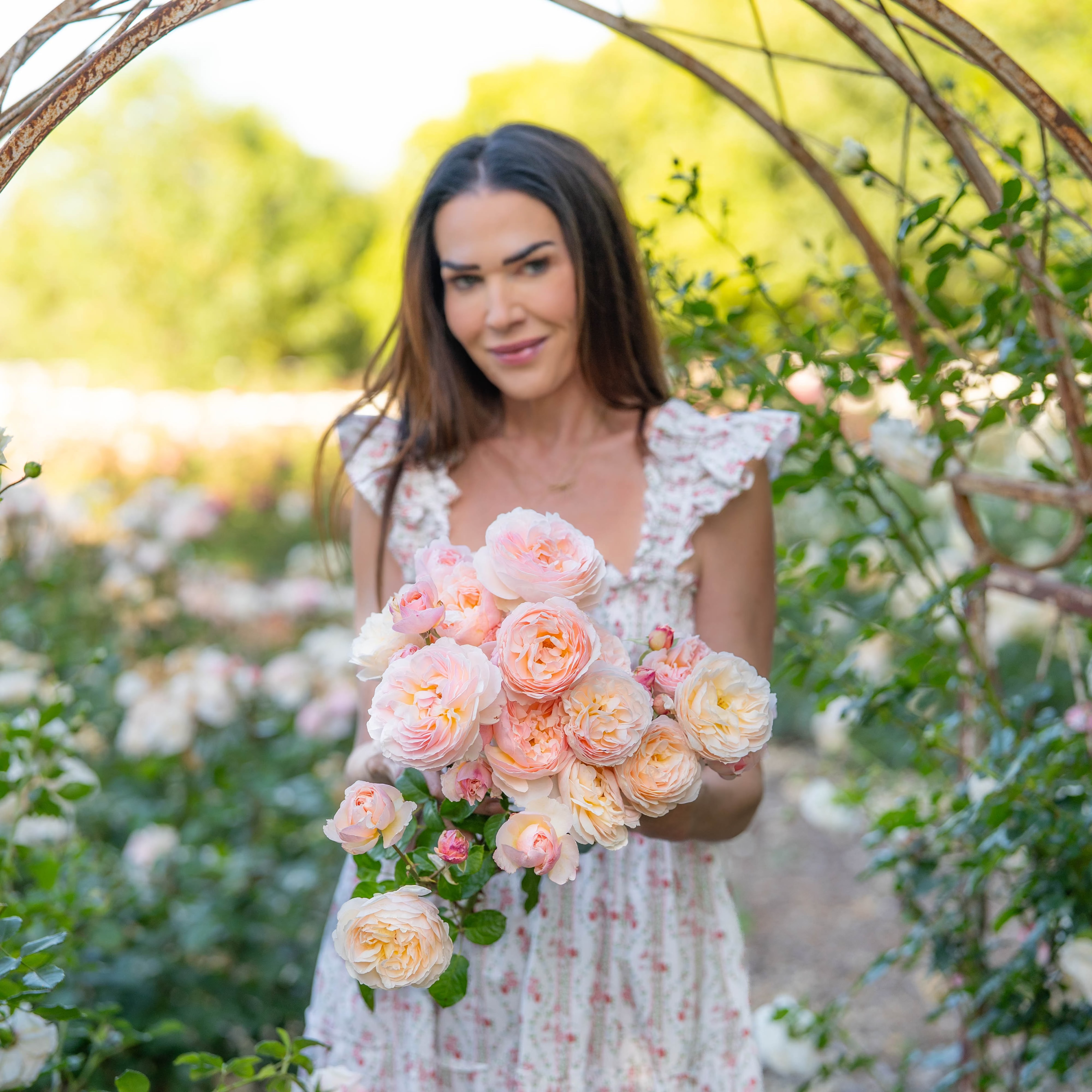 Moonlight in Paris™ Potted Rose Bush