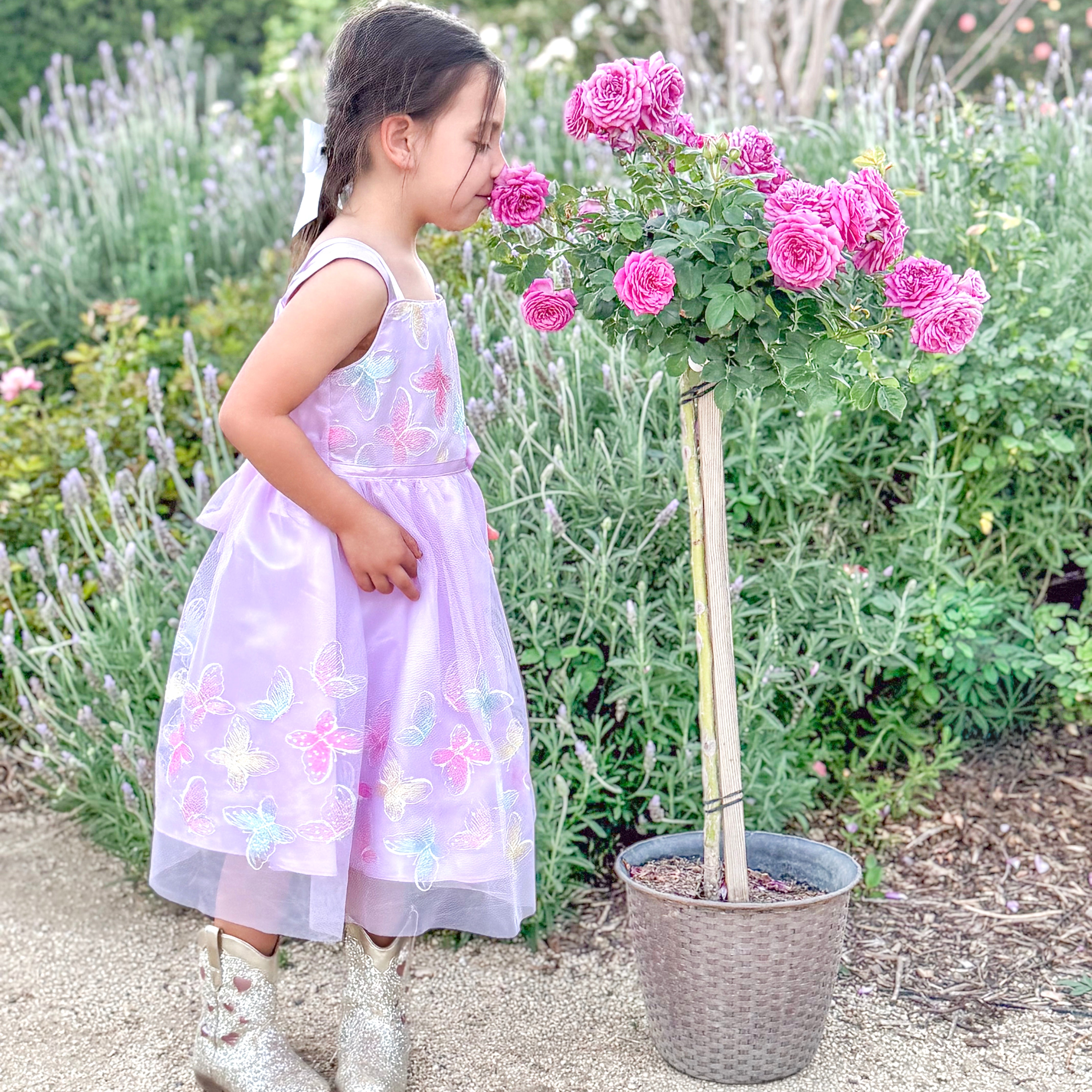 Life's Little Pleasures™ Potted Tree Rose - 10" Decorative Basket Weave Container