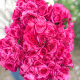Bouquet of bright pink roses held by a person with a blurred background