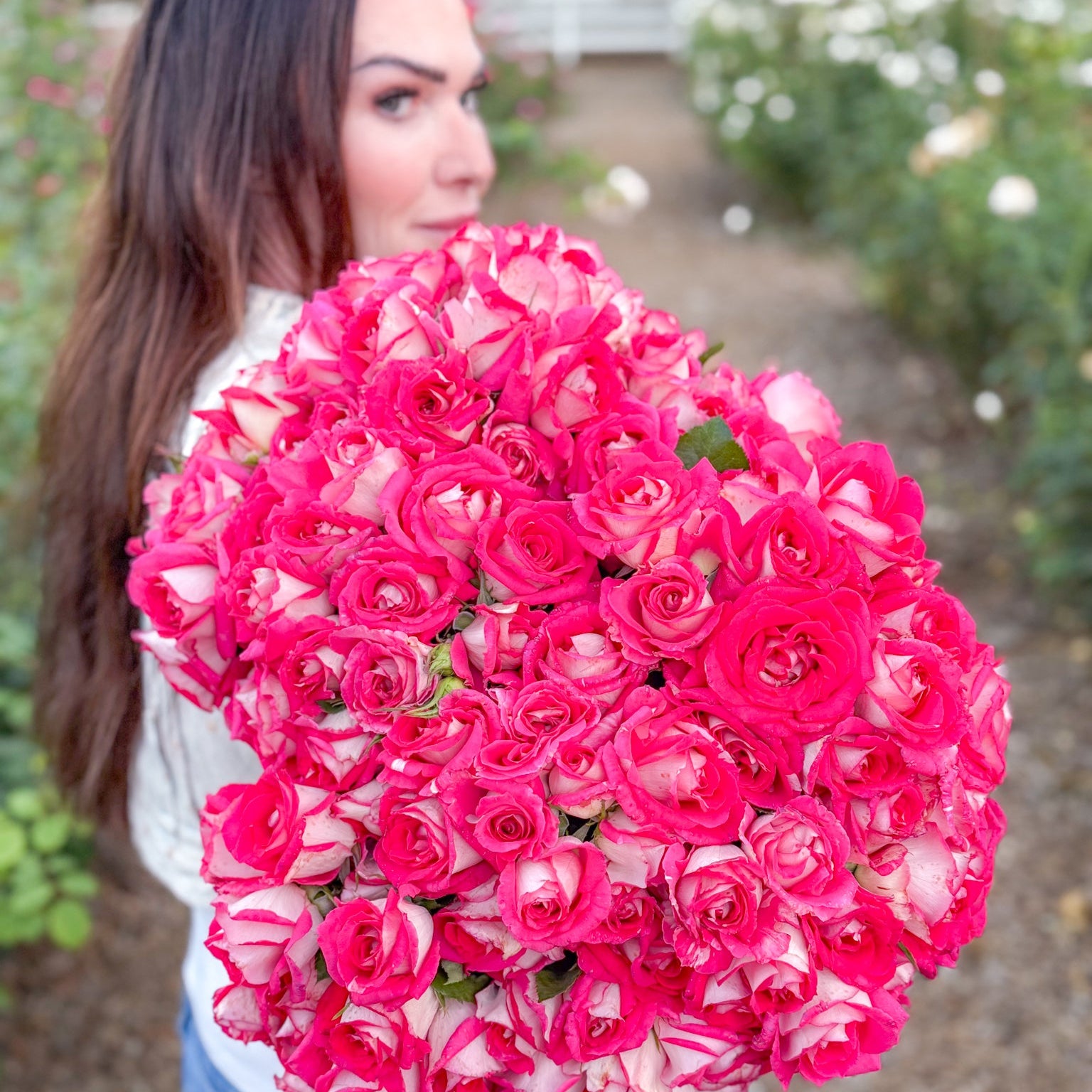 Picture Perfect™ Bare Root Rose Bush