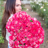 Picture Perfect™ Bare Root Tree Rose