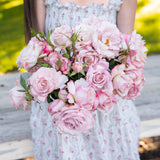 Pinkerbelle™  Bare Root Rose Bush