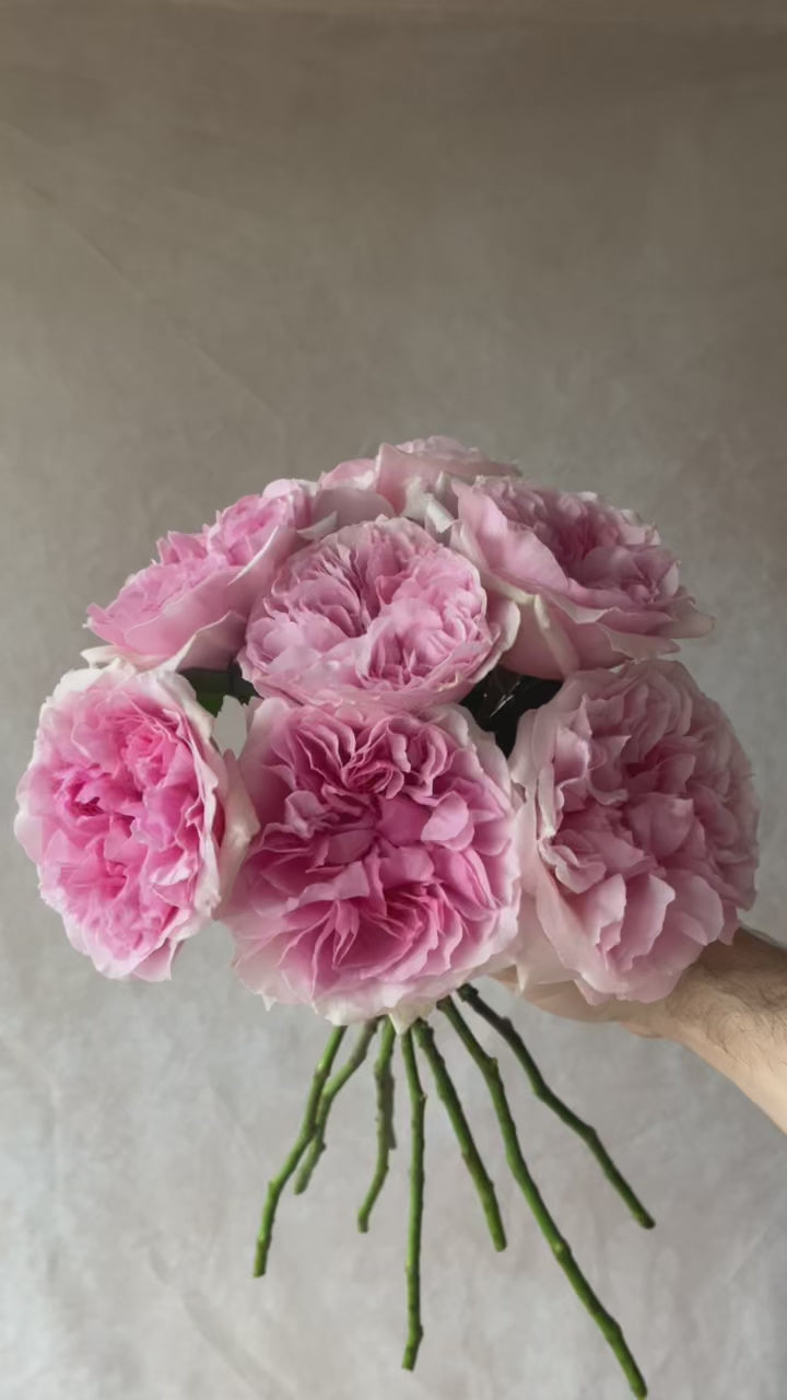 David Austin® Miranda™ Bouquet - Grace Rose Farm