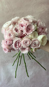 Princess Fairy Kiss Special Bouquet