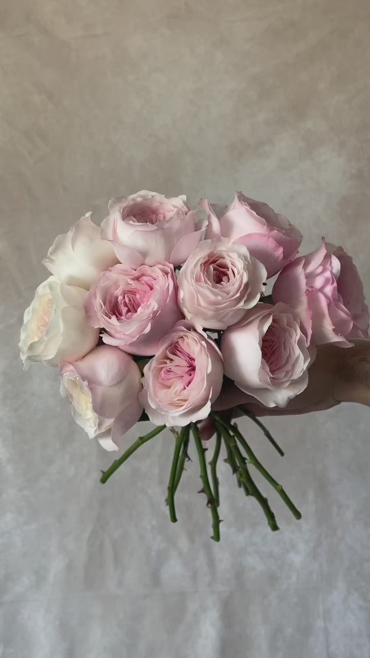 VISIONAIRE 40：DAVID SIMS ROSES　★★値下げしました Gracie's Blooms & Branches™ Bundles - David Austin® Desdemona® & Keira