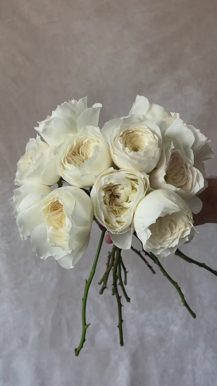 rosemuse Fake leather outer ivory ロゼミュ fake leather outer – BUNNY APARTMENT