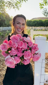 Romantica® Ball Gown™ Potted Rose Bush