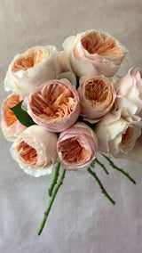 Juliet™ Special Bouquet