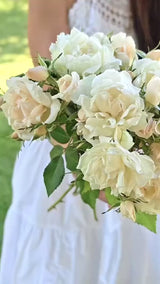 Icecap™ Potted  Rose Bush