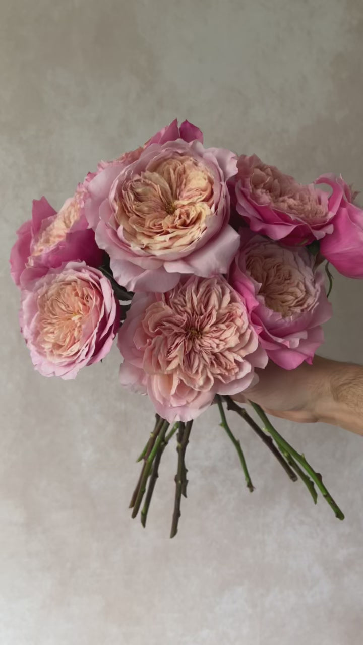 Miyabi™ Bouquet - Grace Rose Farm