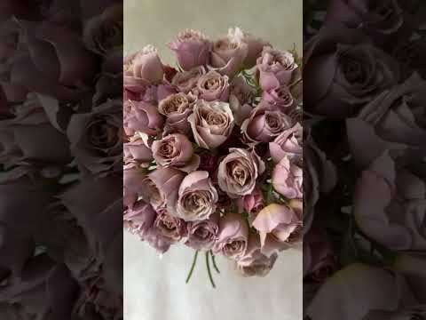 Loli Spray Rose | Pink Spray Rose Bouquet | Grace Rose Farm