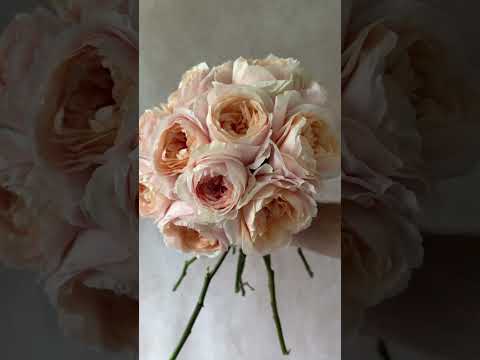 Tsumugi Ulala Bouquet | Peach Wabara Rose Bouquet | Grace Rose Farm