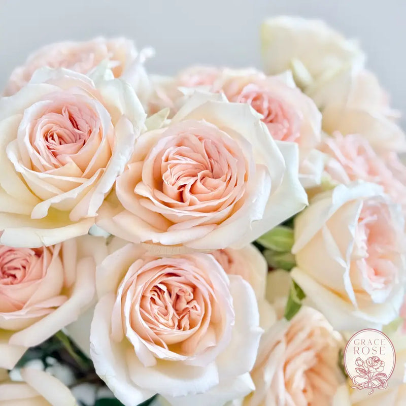 Princess Maya® Bouquet CUTS