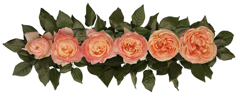 Princess Aiko® Special Bouquet