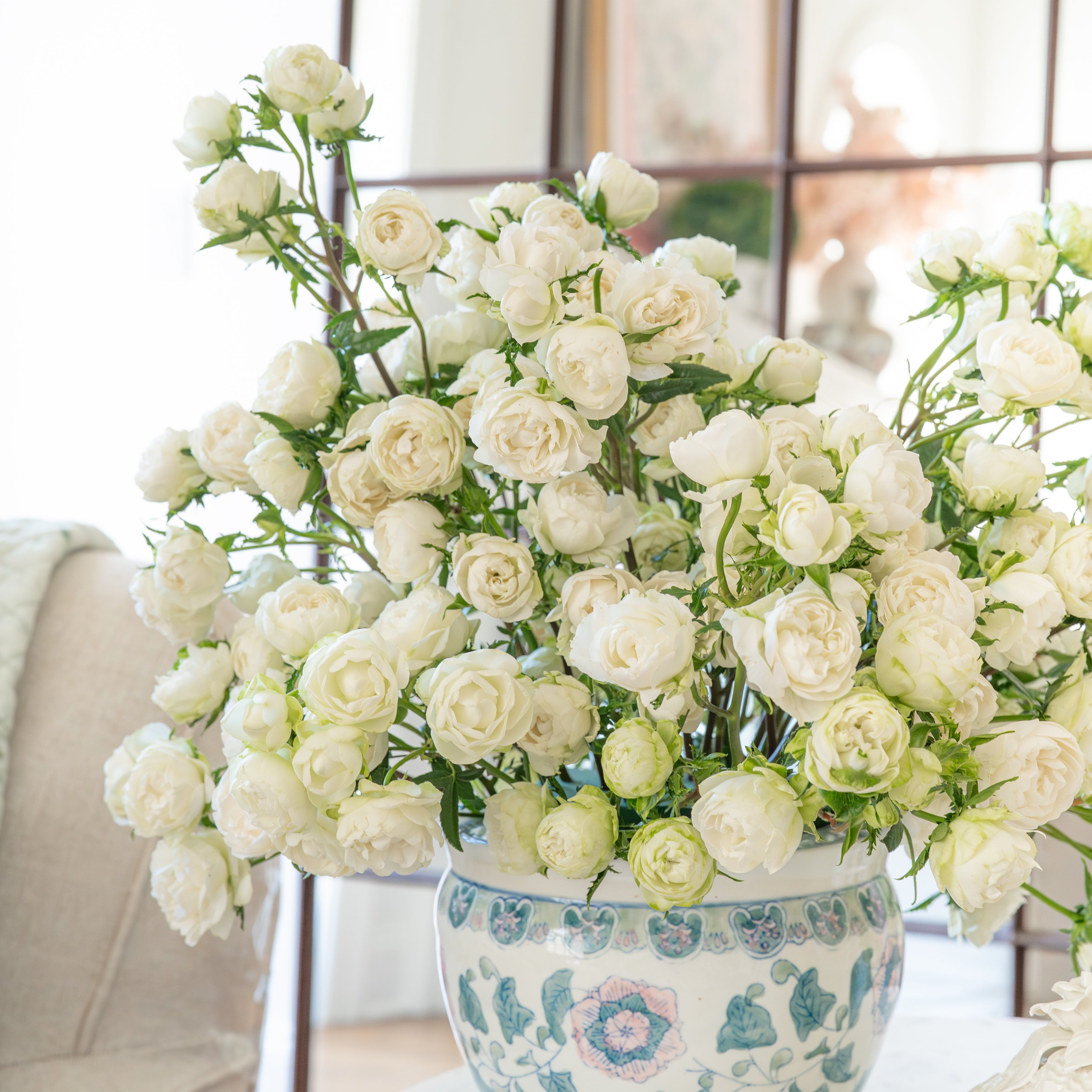 Princess Shiro Bouquet | Cream White Rose Bouquet | Grace Rose Farm