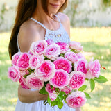 Raspberry Cupcake™ Bare Root Rose Bush