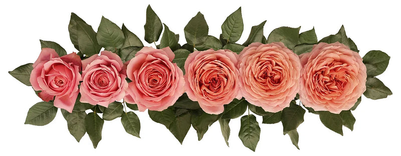 Romantic Antike® Bouquet