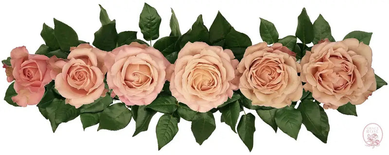 Sahara Sensation® Special Bouquet CUTS