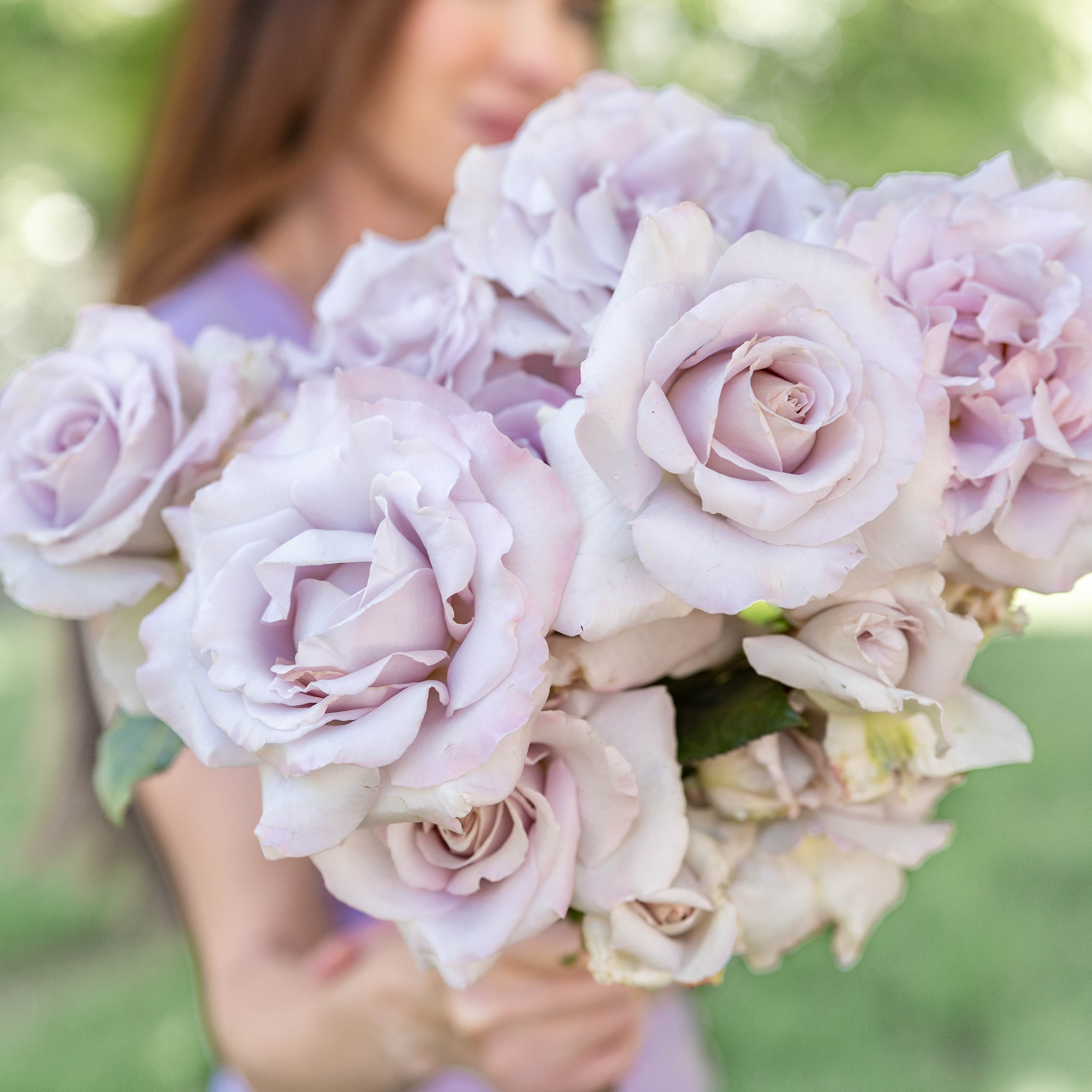 Stainless Steel ™ Potted Rose Bush