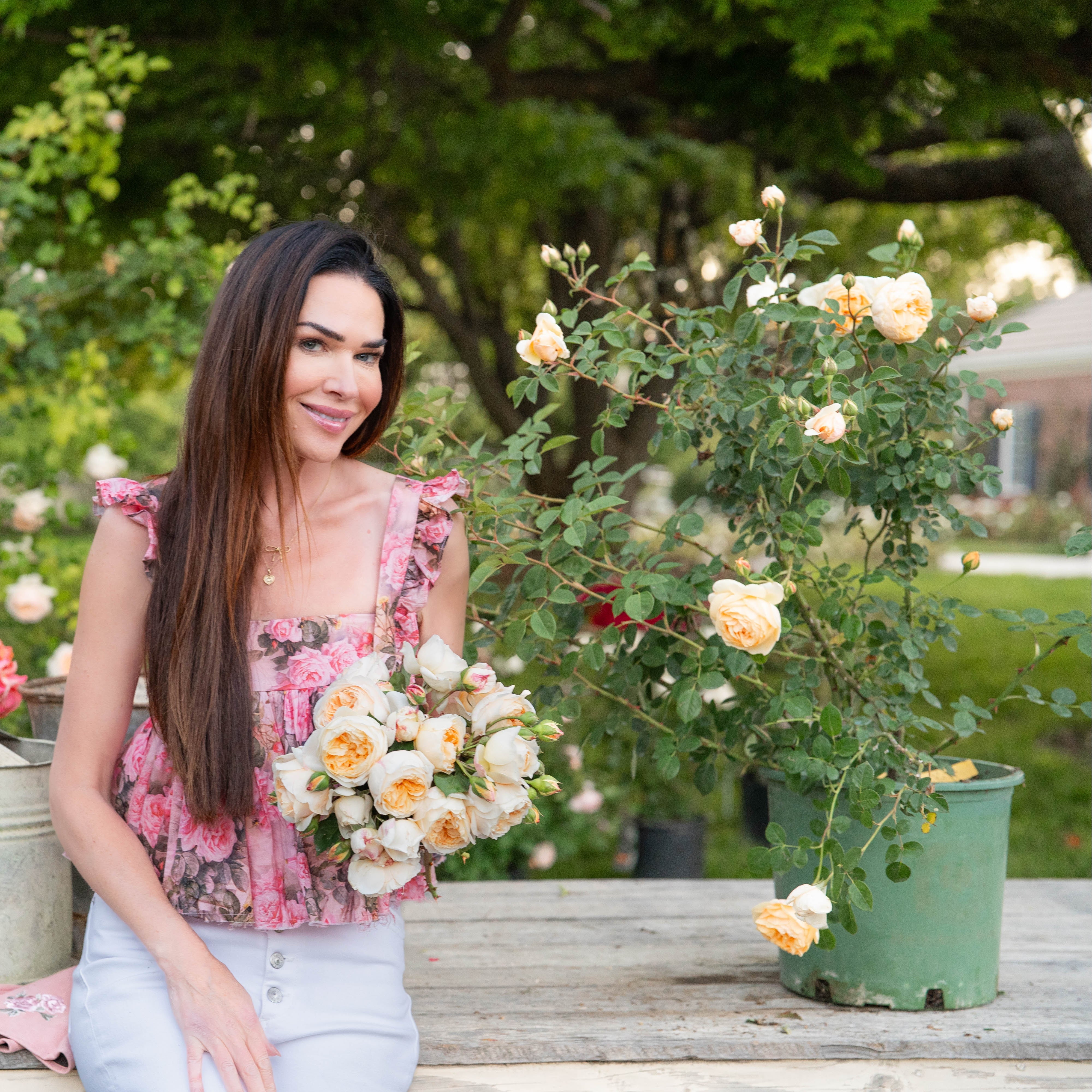 David Austin® Teasing Georgia® Potted Climbing Rose - Grace Rose Farm