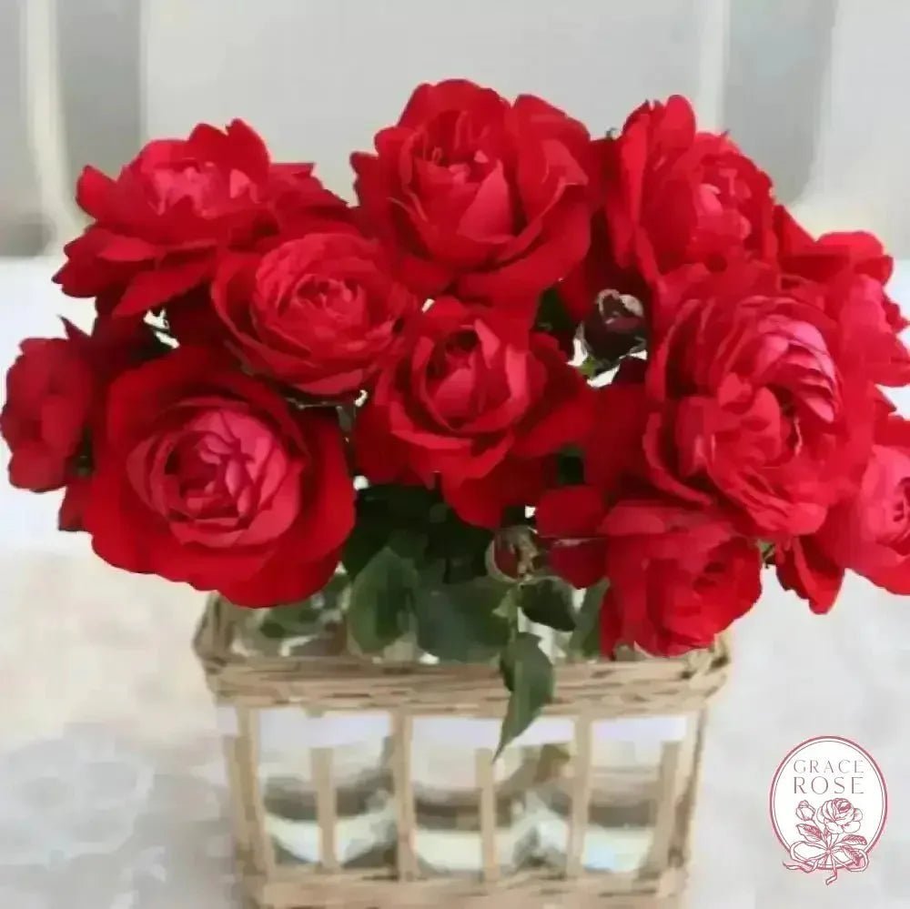 Wuthering Blooms Bouquet Bare Root Rose Bundle
