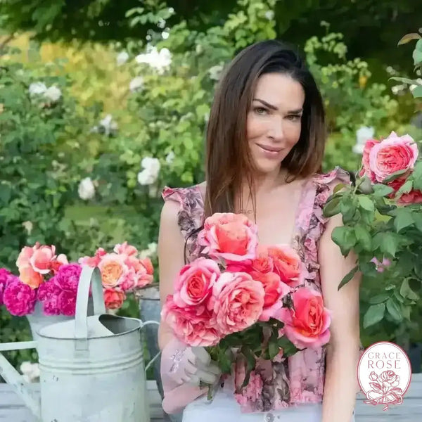 Uptown Girl ™ and State of Grace™ Twofer™ Bare Root Tree Rose