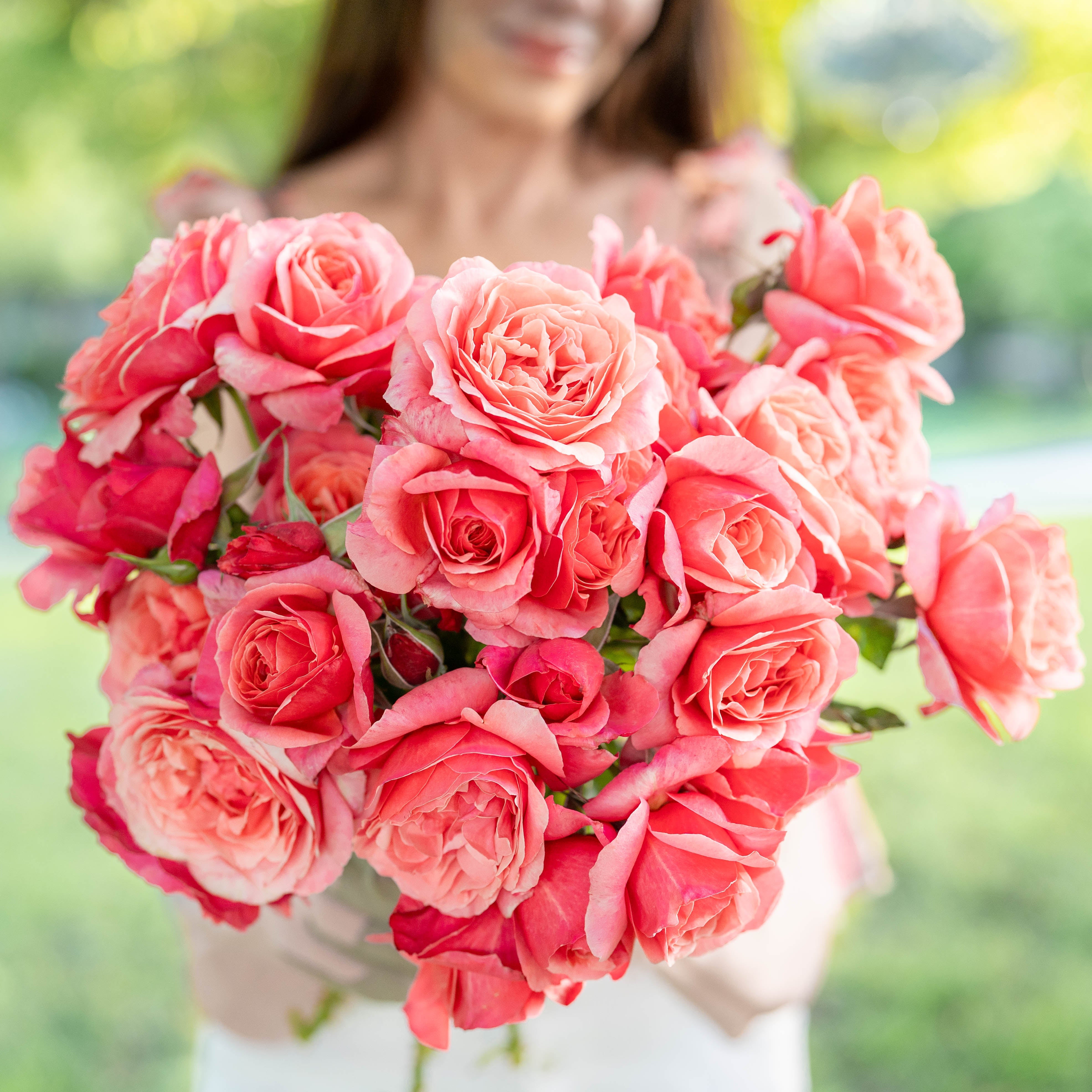 Root™ Bare Better Gracie's Roses★ゴットオブローゼス★タンクトップ★ドレープ★ of 極美品★God Roses Farm Rose Grace - Kordes® - トップス