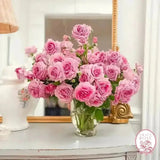 Violets Pride™ Potted Rose Bush