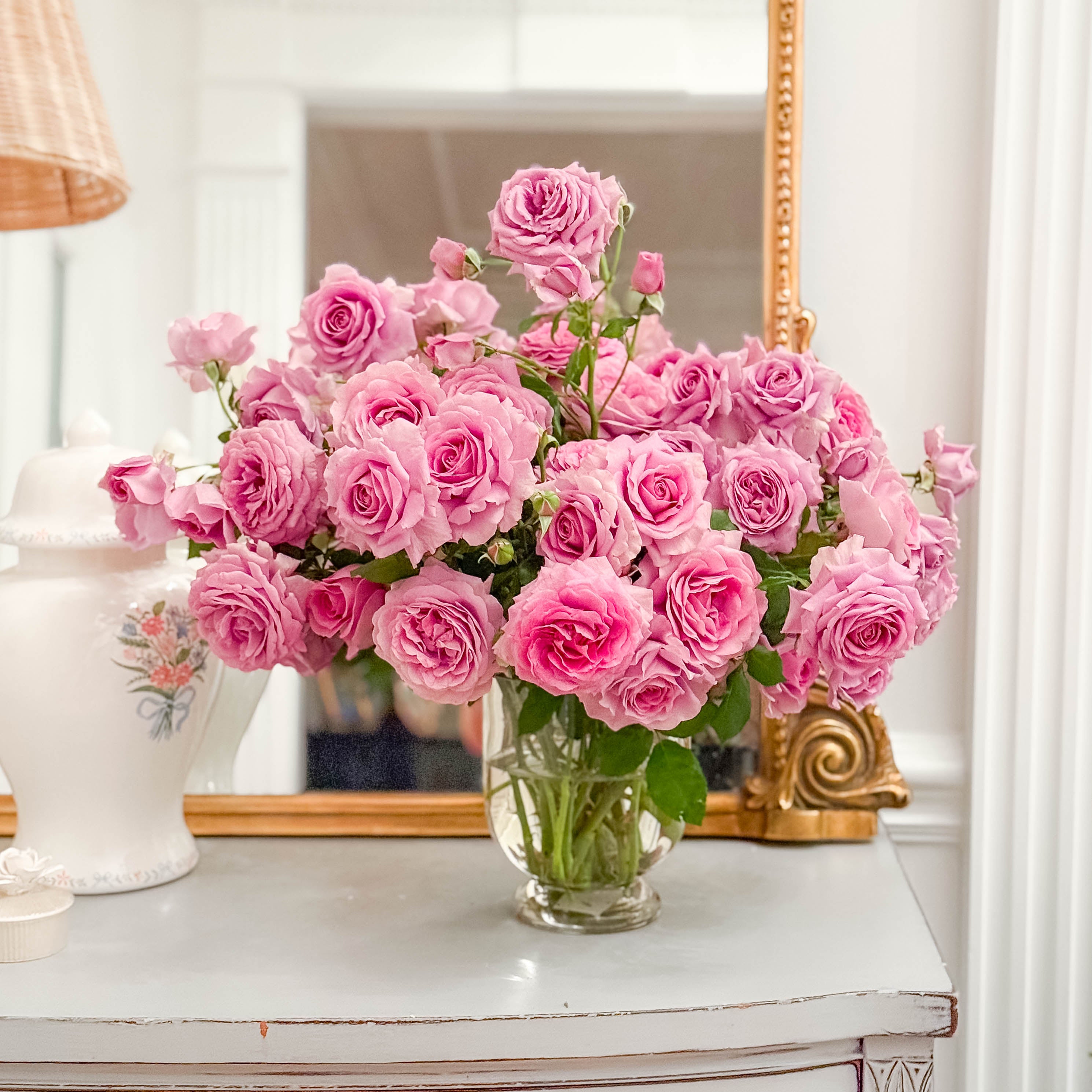 Violet's Pride™ Bare Root Rose Bush