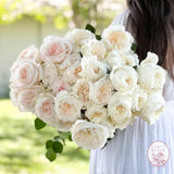 White Garden Rose Bundle CUTS