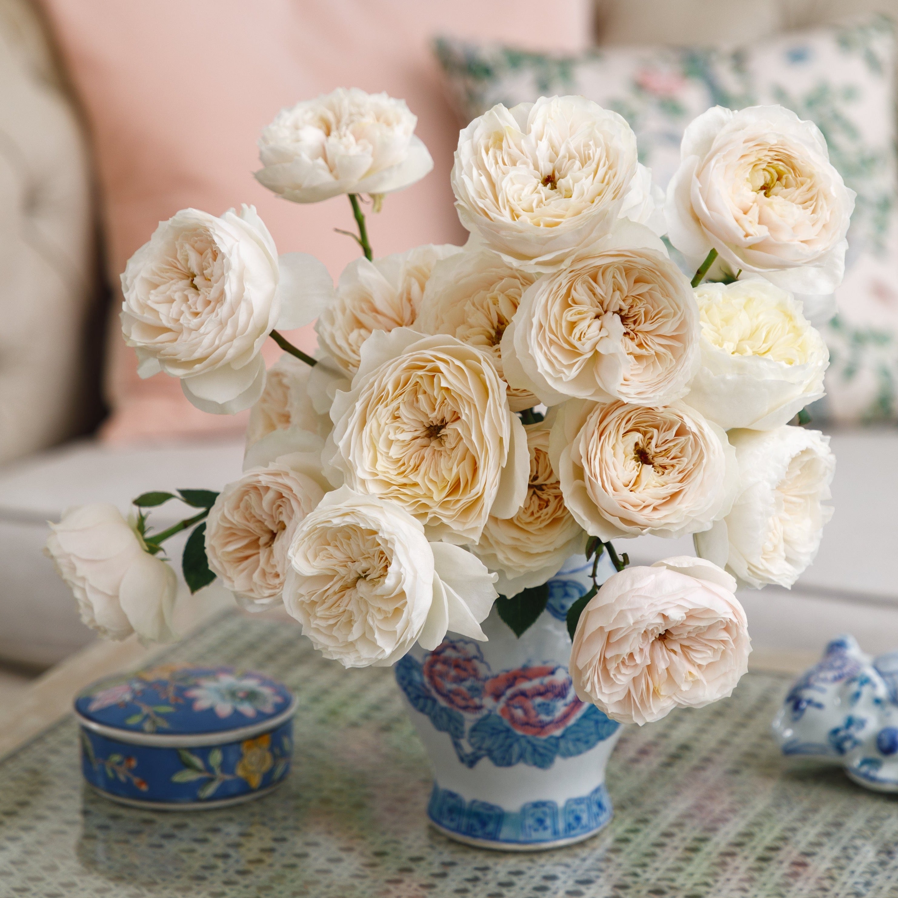 Blanche® Spray Rose Bouquet - Grace Rose Farm