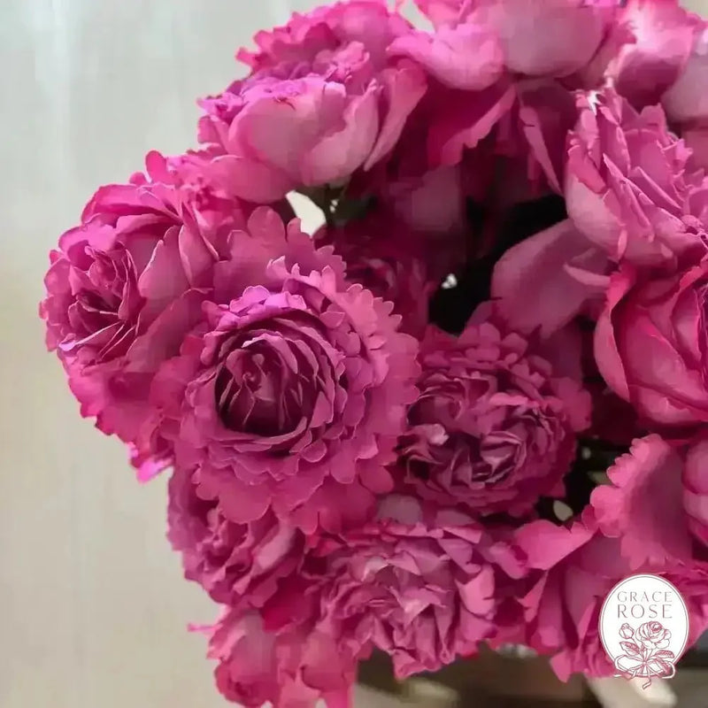 Yves Piaget® Bare Root Tree Rose