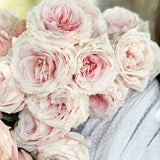Blush Garden Rose Bundle