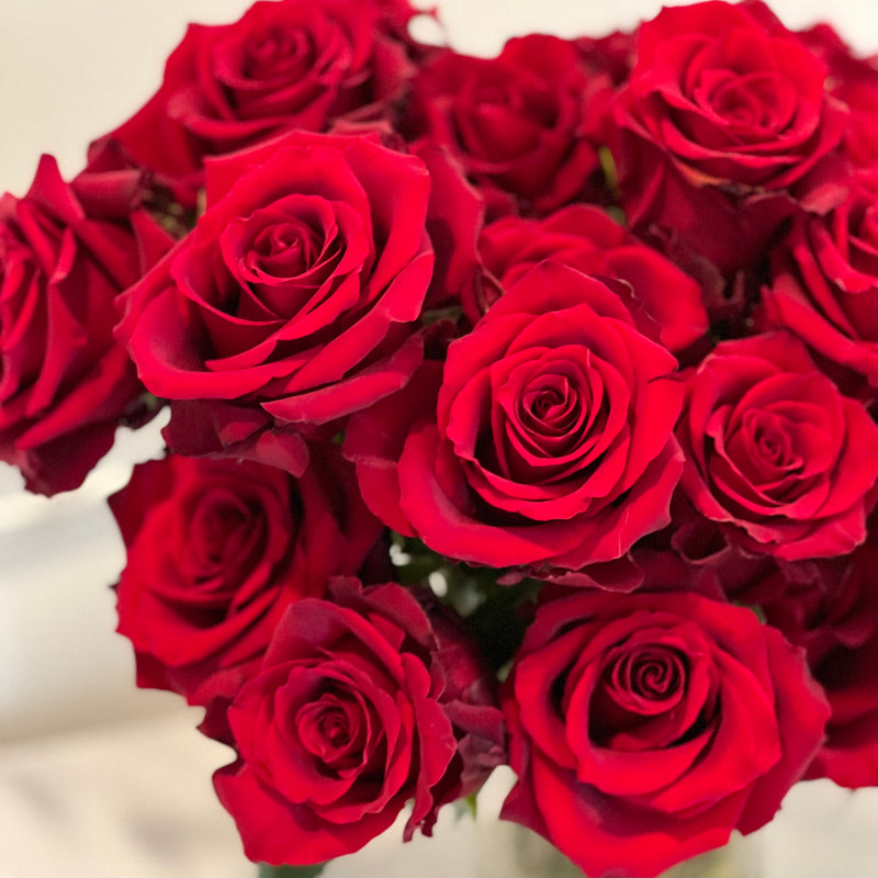 Two Dozen Classic Red Roses