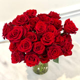 Two Dozen Classic Red Valentine's Day Roses