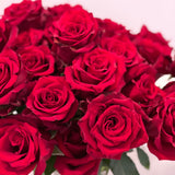 Two Dozen Classic Red Roses