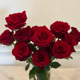 One Dozen Classic Red Roses