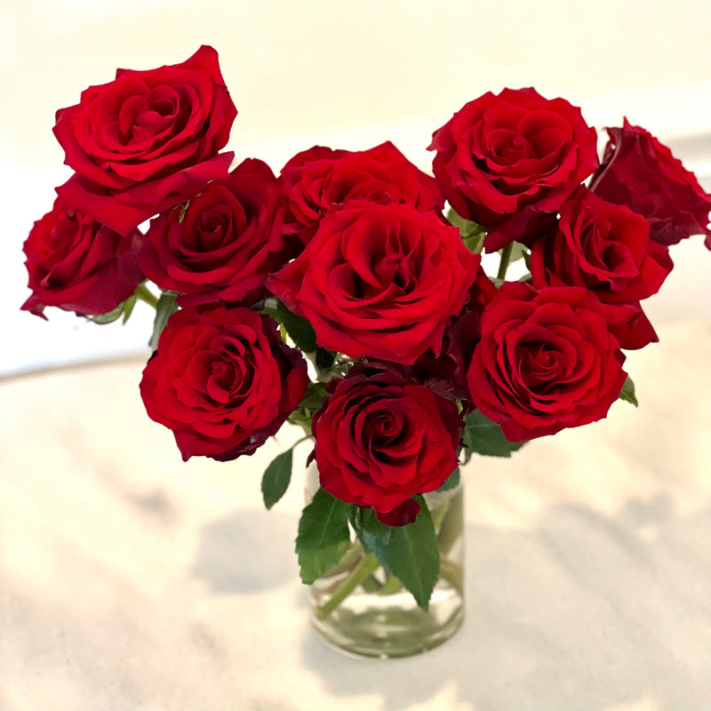 One Dozen Classic Red Valentine's Day Roses