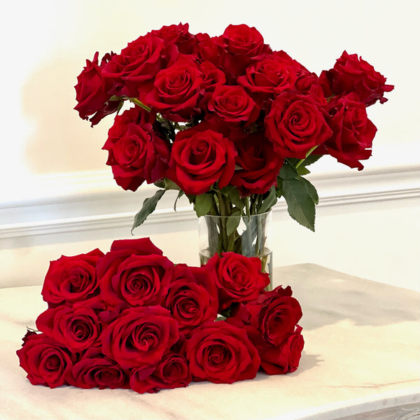 Three Dozen Classic Red Valentine's Day Roses