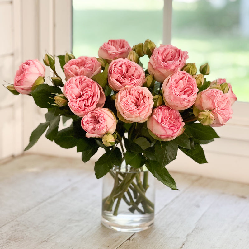 Bridal Pink Piano Roses